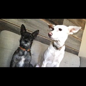 Meet your Posher, Jocelyn